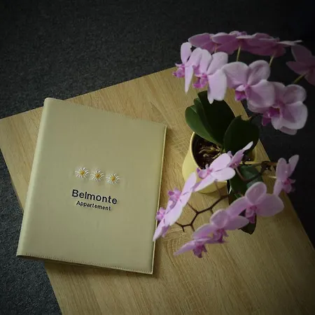 Apartamento Belmonte *