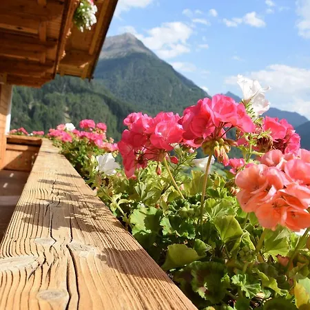 Apartamento Belmonte