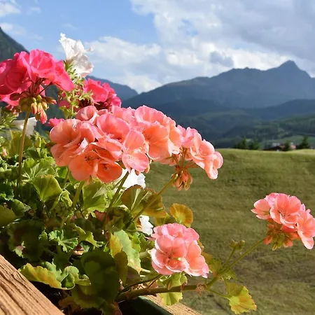 Belmonte Apartamento *